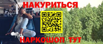 прущие грибы Краснознаменск