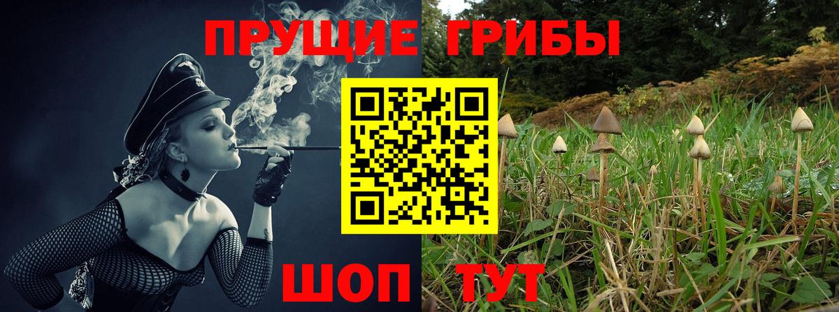 Галлюциногенные грибы мицелий  Вход с VPN  Клин  Галлюциногенные грибы Cubensis 