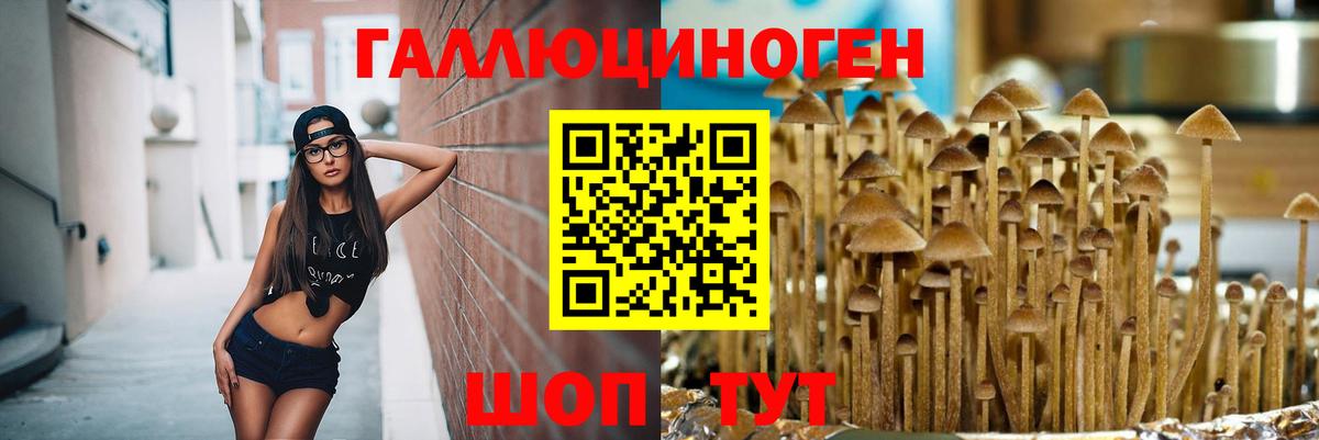 Псилоцибиновые грибы GOLDEN TEACHER Клин